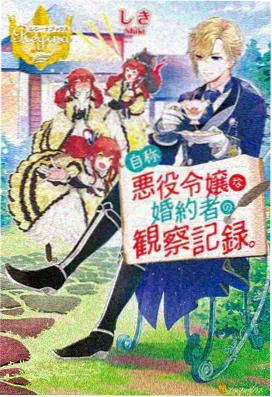 优质偶像番